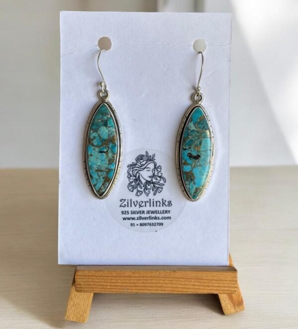 ZilverLinks Exclusive Stone Drop Earrings – 925 Silver